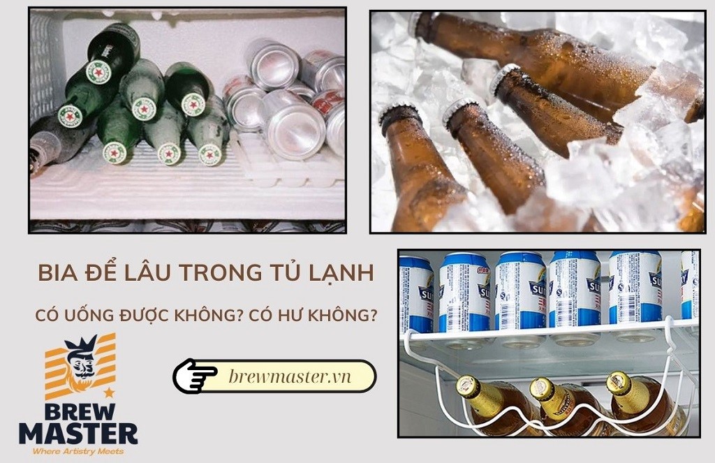 Giải đáp: Bia để lâu trong tủ lạnh có sao không?