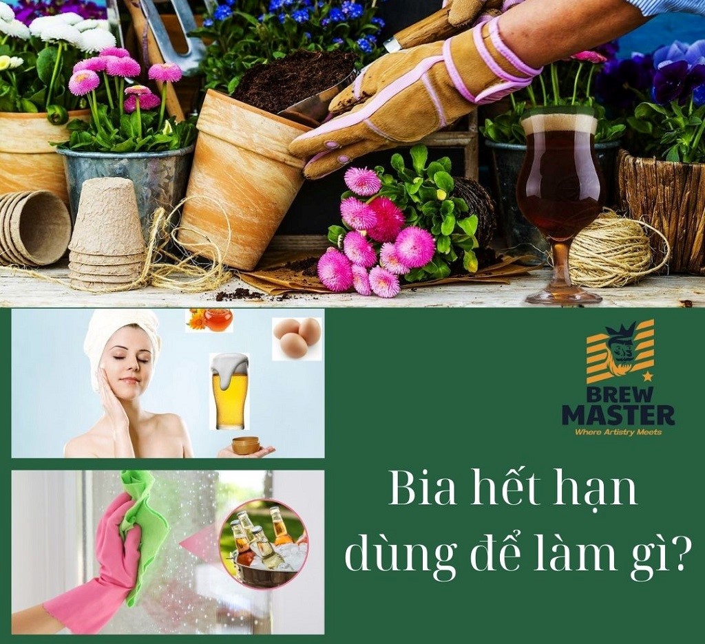 Bia hết hạn dùng để làm gì? Mẹo tận dụng hữu ích