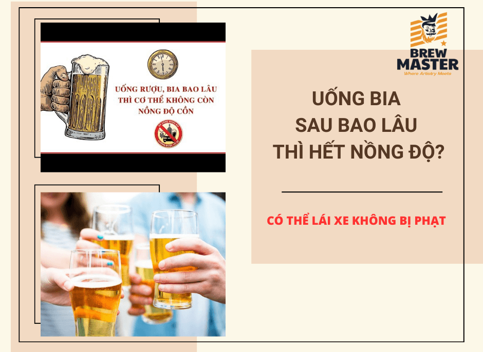 Uống 1,2,3,4,5,…10 chai bia bao lâu hết nồng độ cồn?