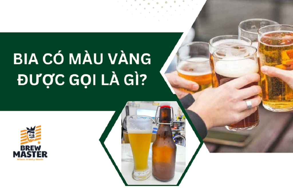 Bia có màu vàng được gọi là gì? Tại sao bia có màu vàng?