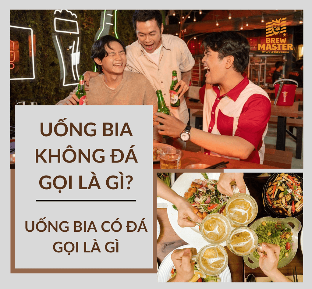 Uống bia không đá gọi là gì? Uống bia có đá là gì?